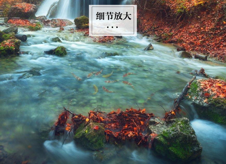 探索你是如何评价《新版红楼梦》的?——知识星球平台